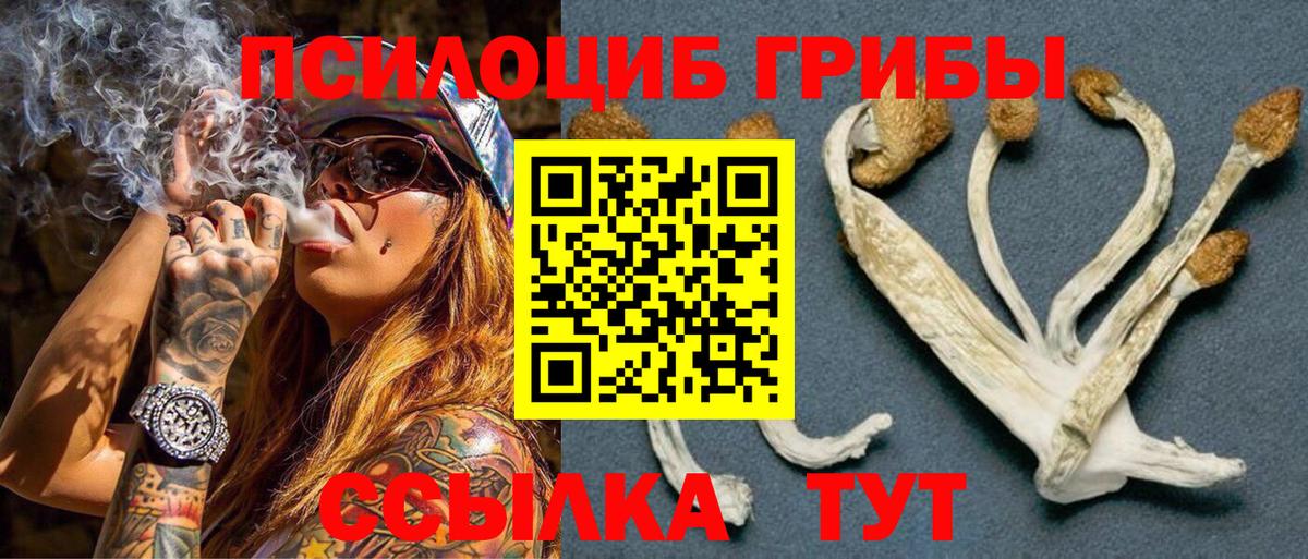 Псилоцибиновые грибы Magic Shrooms  Вход с VPN  Тула  Псилоцибиновые грибы GOLDEN TEACHER 