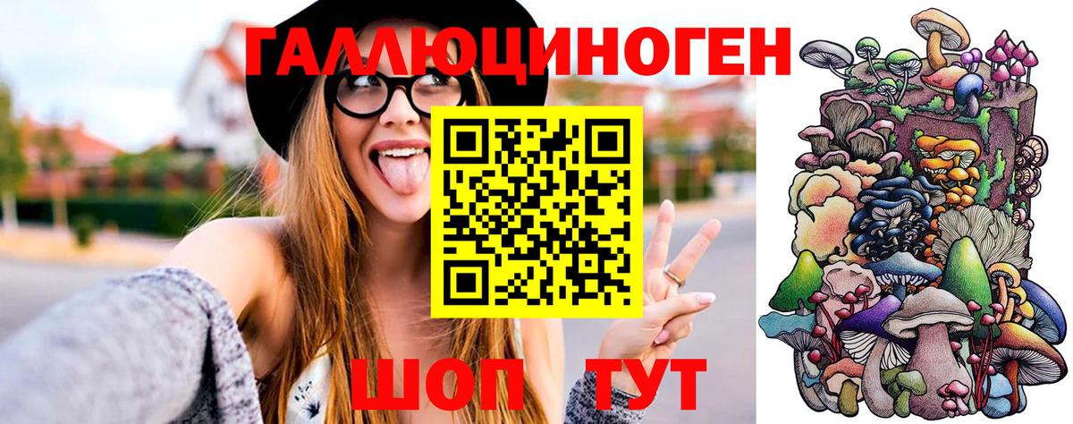 Псилоцибиновые грибы GOLDEN TEACHER Тула